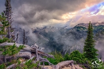 Mount Rainier lost in the mist Mount Rainier National Park WA 