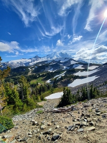 Mount Rainier National Park WA 