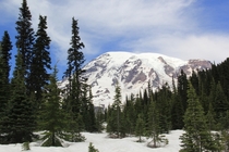 Mount Rainier south slope at Paradise WA 
