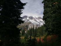 Mount Rainier WA USA 