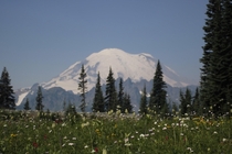 Mount Rainier Washington State 