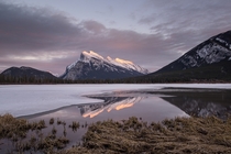 Mount Rundle AB Canada  by Sandra Herber