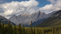 Mountain Ridge Jasper National Park Alberta 