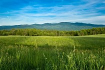 Mountains across a meadow in Stowe VT 