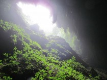Mouth of the Camuy Cave Puerto Rico 
