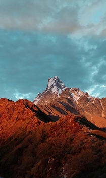Mt Fishtail seen during golden hours at Mardi Himal trek Nepal 