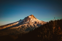 Mt Hood during sunrise from Bonney Butte 