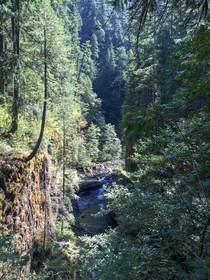 Mt Hood National Forest in Oregon 