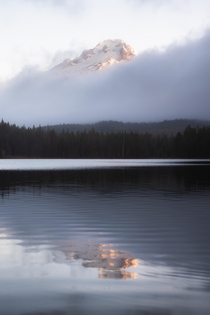 Mt Hood Sunirse Trillium Lake Oregon 