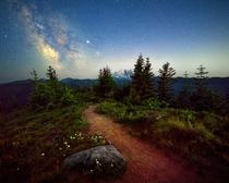 Mt Rainier - A beautiful path under the stars x OC jackfusco