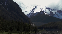Mt Rainier National Park Washington  OC