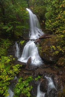 Mt Rainier National Park Washington USA 