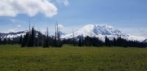 Mt Rainier via Grand Park