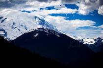 Mt Rainier WA 