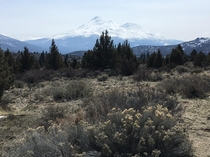 Mt Shasta outside of Weed CA  x  