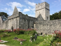 Muckross Abbey Killarney Ireland