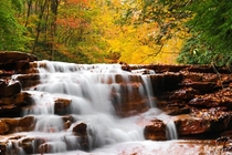 Muddy Creek- Albright West Virginia 