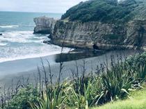 Muriwai beach Auckland New Zealand 