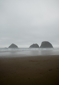 My attempt at a rugged foggy day in the Oregon coast range 