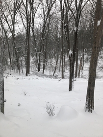 My backyard when I woke up to a fresh  inches of snow New England USA 