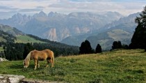 My dad is currently in Italy and took this photo up in the Dolomite Mountains