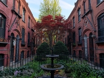 My favorite little Garden Alley in Brooklyn NY 