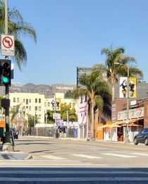 My favorite shot from my trip to HollywoodLos Angeles California 