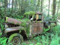 My friend and I went hiking and found this abandoned truck in her woods 