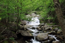 My friends and I drank from this stream on our way up Mount Washington in New Hampshire 