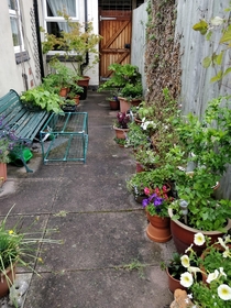 My grans nice little city garden 