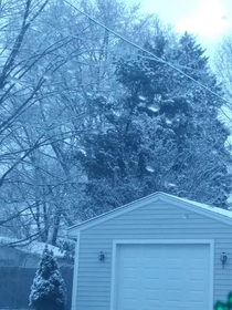 My neighbors house in winter  Michigan 
