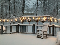 My parents backyard in Cleveland OH this morning