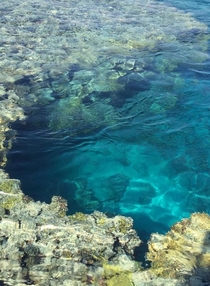 My Snorkeling Experience in Red Sea 
