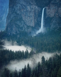 Mystical morning in Yosemite  IG travelswitheresa
