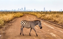 Nairobi Kenya skyline from Nairobi National Park 