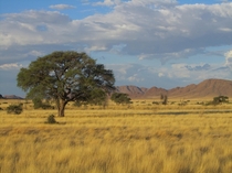 Namibia - A summer afternoon  OC