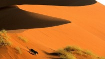 Namibia Africa 
