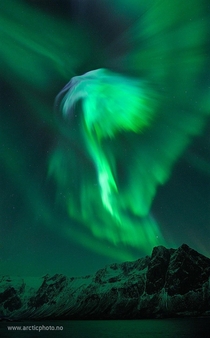 NASAs Astronomy photo of the day Eagle Aurora over Norway