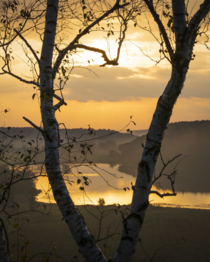 Natural framing for golden hour  Indian Lake County Park WI 