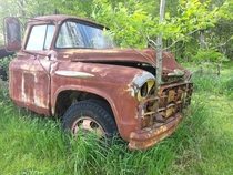 Nature is reclaiming several vehicles on my family farm