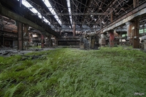 Nature is Taking Back This Abandoned Steel Mill in New York 