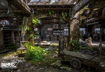 Nature reclaiming an old pottery works in the UK more in comments 