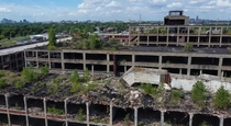 Nature reclaims the roof of the Packard Plant in Detroit