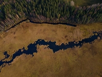 Nature taking over a lake and creating these interesting shapes looks almost like a river 
