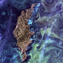 Natures Beautiful Art From space Gotland a Swedish island looks like a Van Goghs painting with greenish streaks of phytoplankton swirling in dark-blue water 