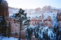 Navajo loop trail in Bryce Canyon this past winter 