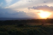 Near Lake Nakuru Kenya 