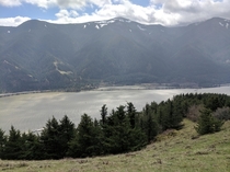 Near the top of Dog Mountain Washington Side of the Columbia River Gorge   x 