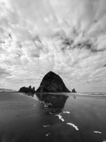Needles in a Haystack Cannon Beach -OC 