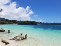 New Caledonia Isle Of Pines x 
